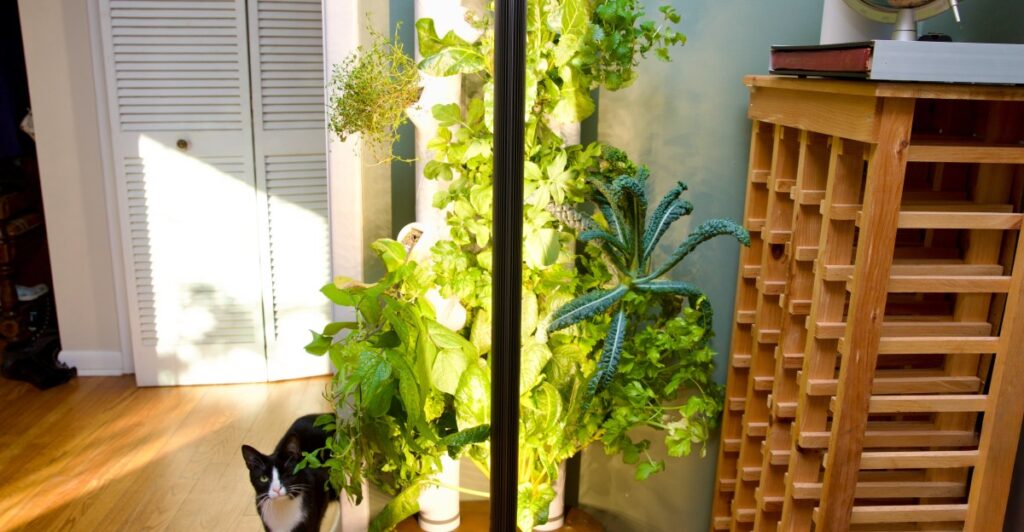 Gardyn Studio 2 review: this smart garden turned my black thumb green