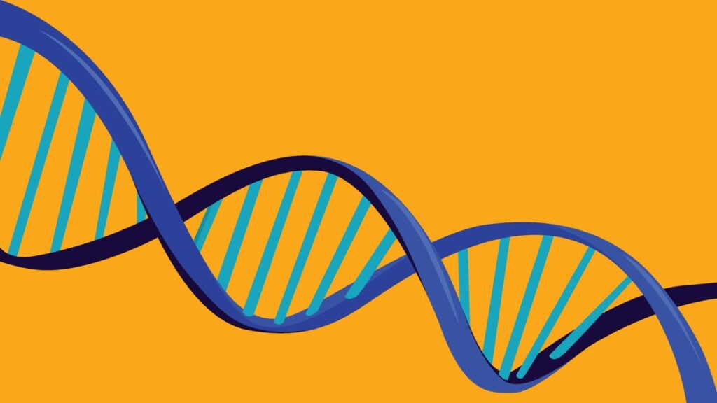 Why Ancestry Is the Best At-Home DNA Testing Kit in 2025