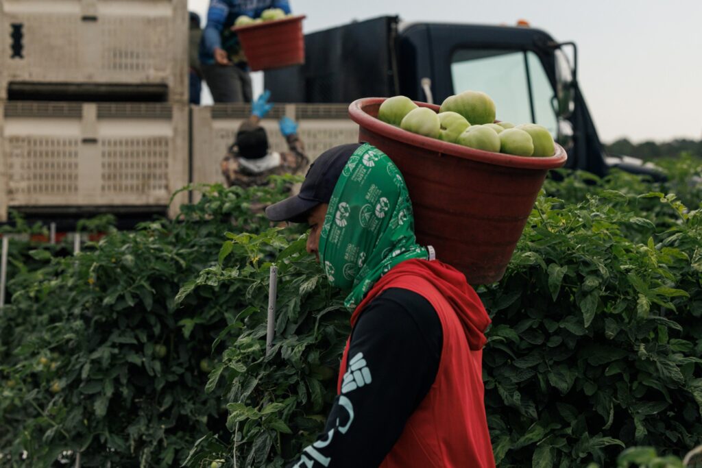 Why Few Farms Participate in the Fair Food Program, Which Experts Say Could Prevent Abuse — ProPublica