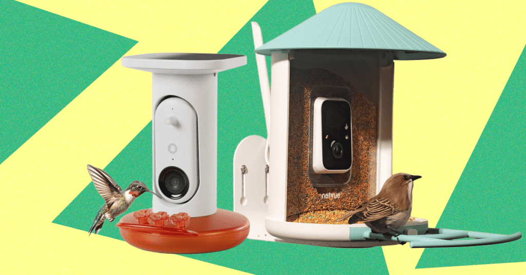 Best Bird Feeders With Cameras, Tested and Reviewed (2026) Best Bird Feeders With Cameras, Tested and Reviewed (2026)