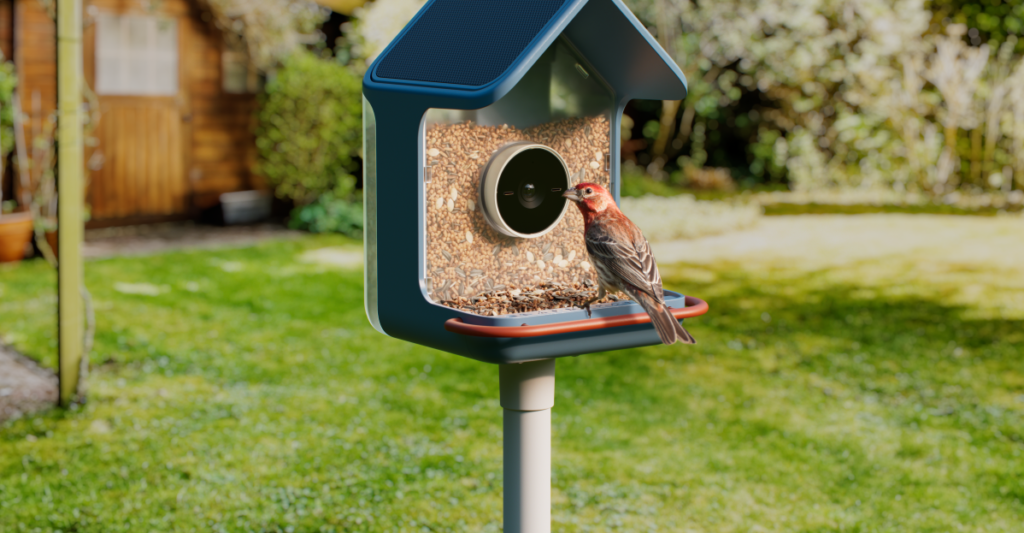 Birdbuddy’s new smart feeders aim to make spotting birds easier, even for beginners