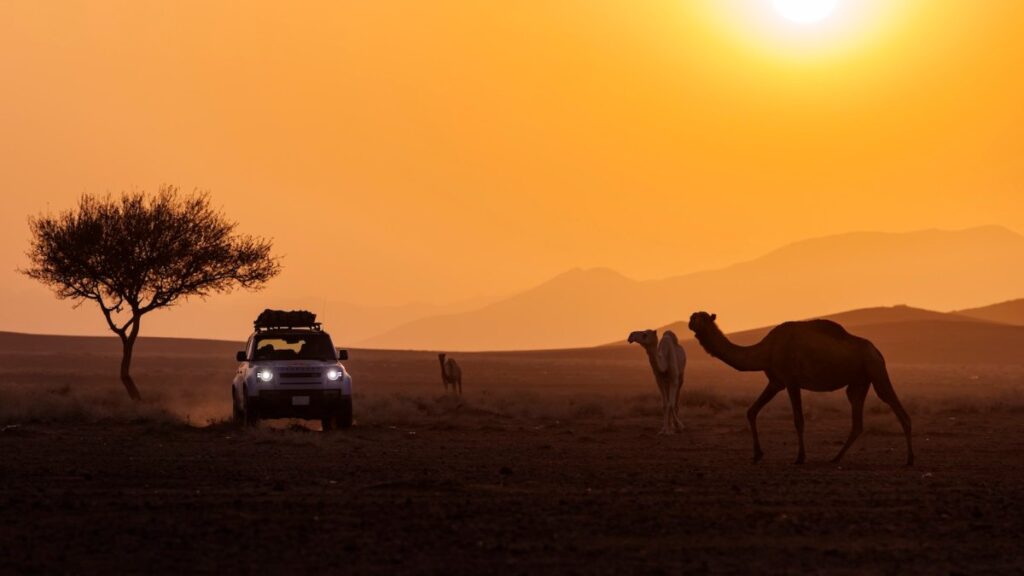 Here's What I Saw While Off-Roading in Saudi Arabia During the Dakar Rally