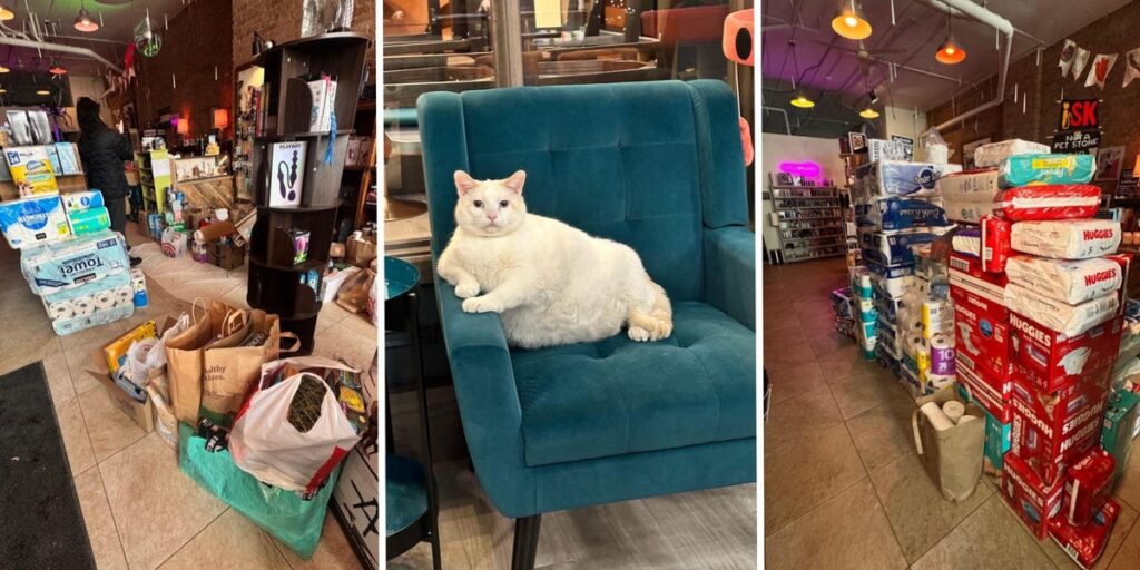 ICE Chaos, Boycott Turn Minnesota Retailers Into Community Spaces