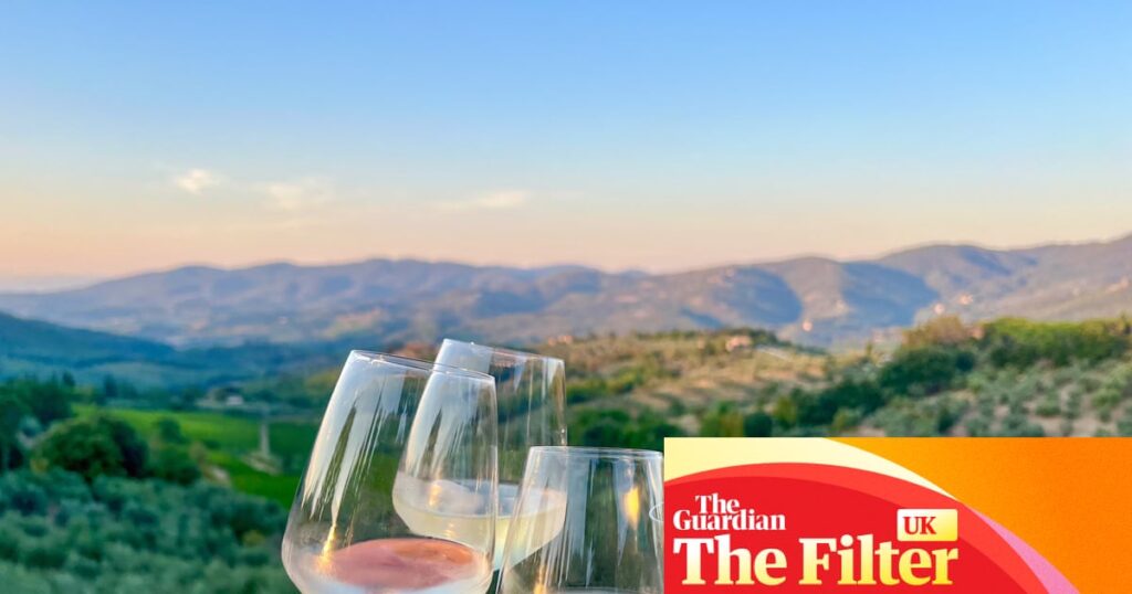 The best no- and low-alcohol wines for when you’re off the booze (yes, good ones do exist) | Wine