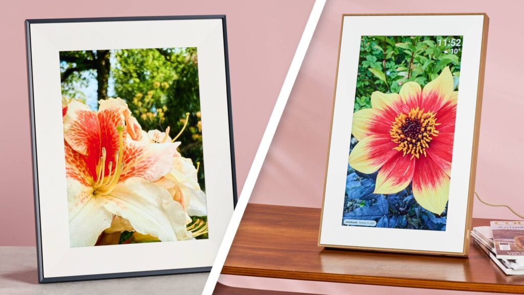 A split image showing the Aura Aspen on the left with a rhododendron on its screen and the Pexar Starlight on the right with a dahlia on its screen.