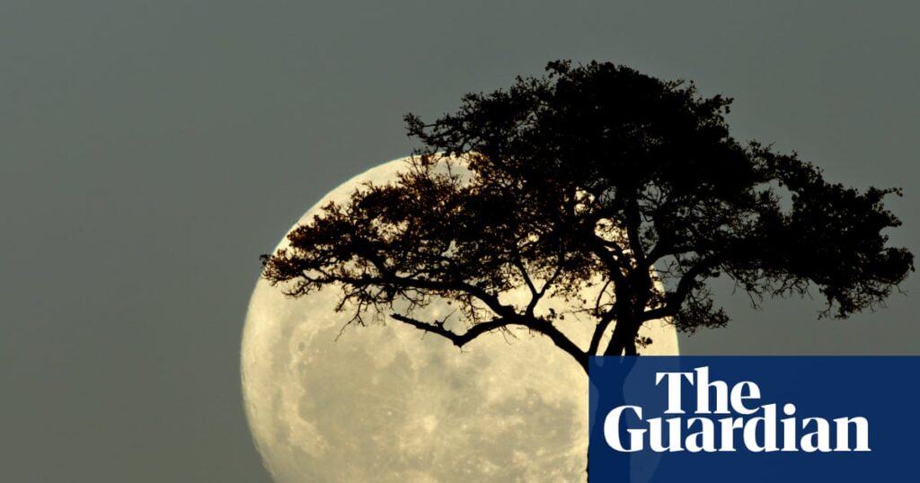 What phase follows a full moon? The Saturday quiz | Quiz and trivia games
