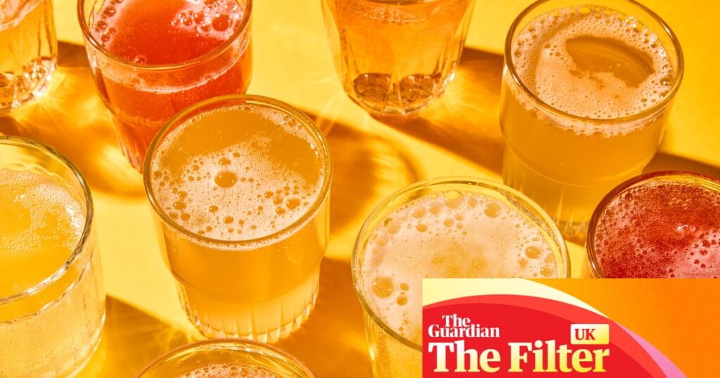 ‘Extraordinary – a great alcohol alternative’: the best supermarket kombuchas, tasted and rated | Soft drinks