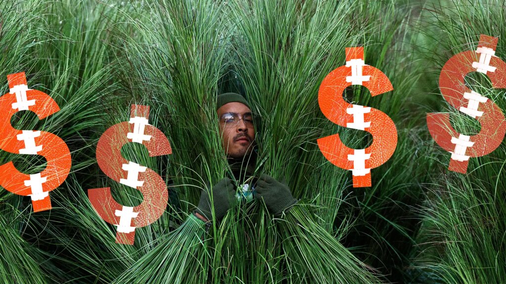 Bad Bunny Didn’t Get Paid for the Super Bowl—but His Tree Performers Did