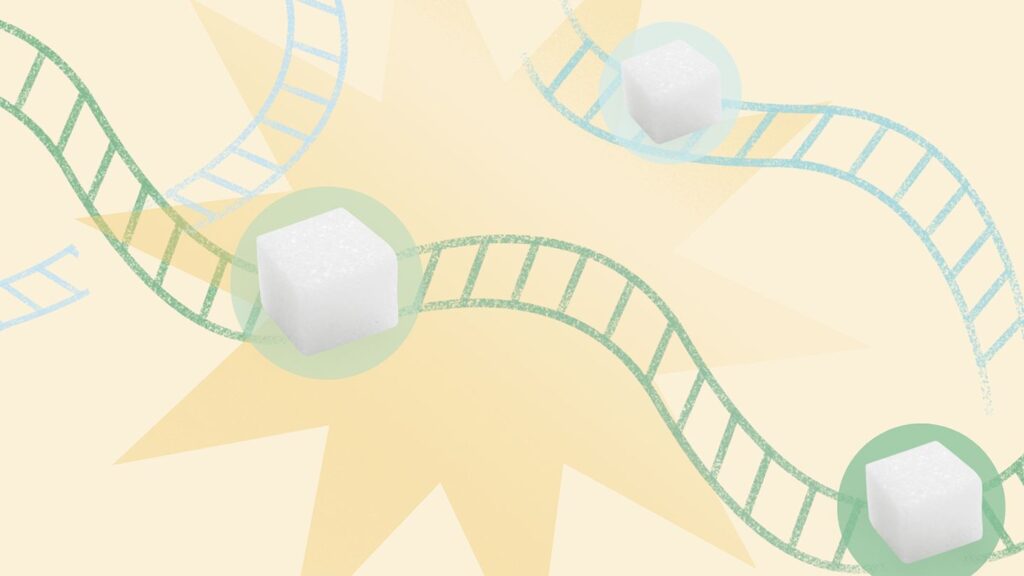 What Is a Blood Sugar Roller Coaster?