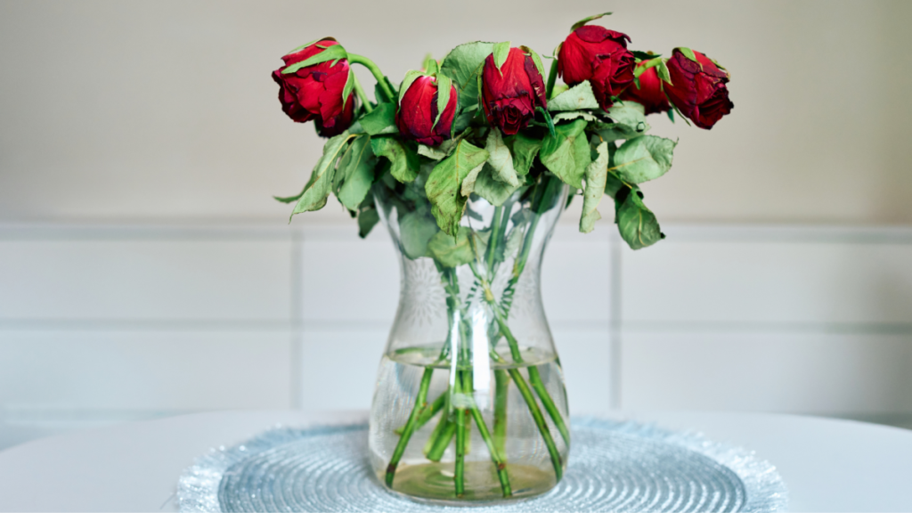 The Best Valentine’s Day Gifts That Aren’t Flowers The Best Valentine’s Day Gifts That Aren’t Flowers