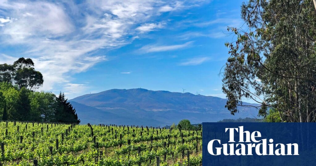 Aperitivo or dinner? Portuguese whites are always right | Wine Aperitivo or dinner? Portuguese whites are always right | Wine