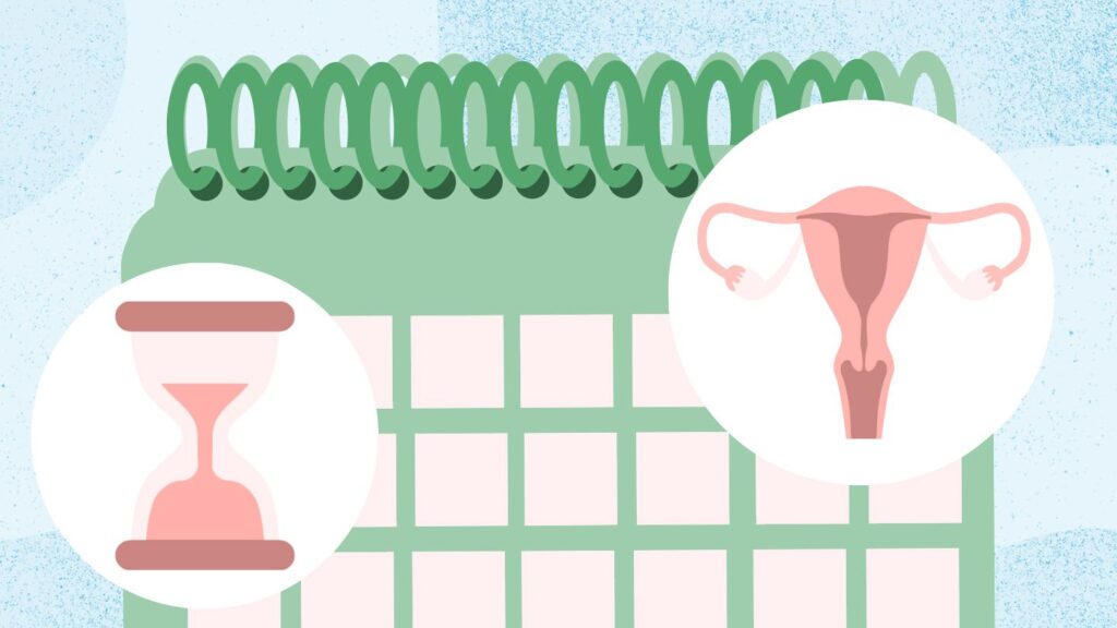 hourglass, calendar, uterus concept illustration about perimenopause