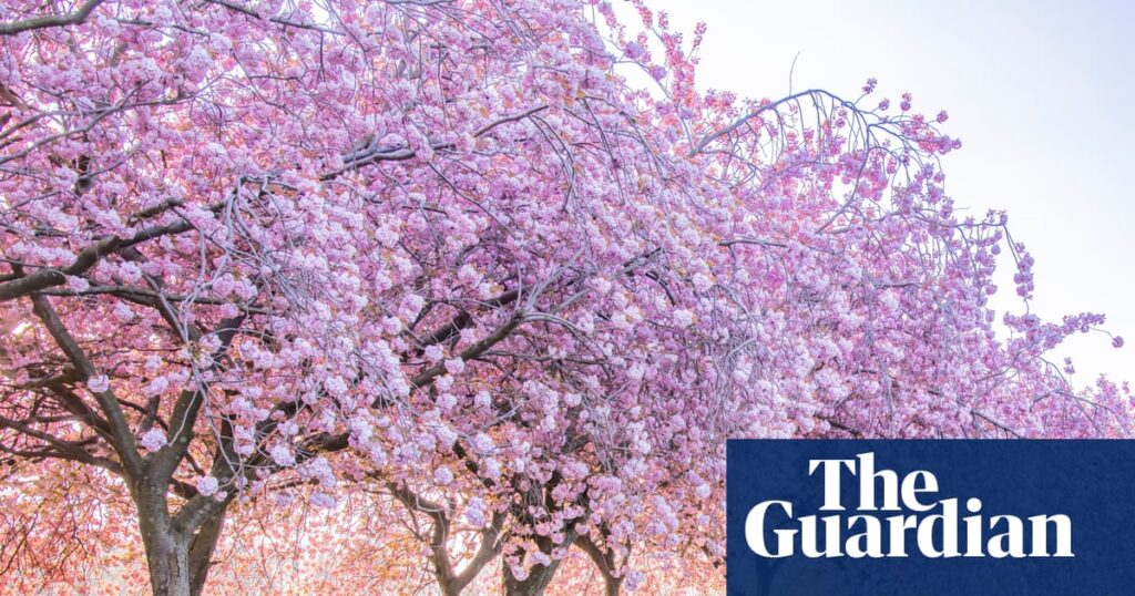 Tell us about your favourite UK spring activity or day out | Travel