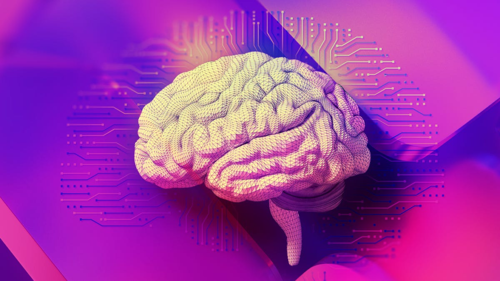 brain on bright background