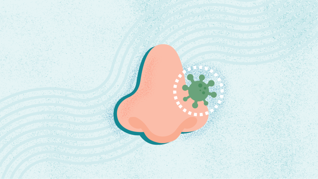 What Is a Sinus Infection? What Is a Sinus Infection?