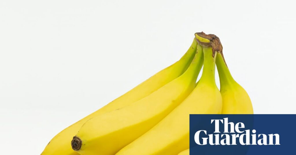 What a slip-up! The shop in Orkney that accidentally ordered 38,000 bananas | Fruit What a slip-up! The shop in Orkney that accidentally ordered 38,000 bananas | Fruit