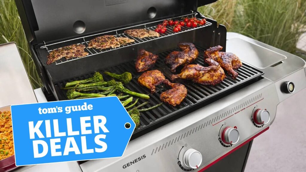 17 Amazon grill deals to jumpstart barbecue season — save up to 33% on Weber, Traeger and more