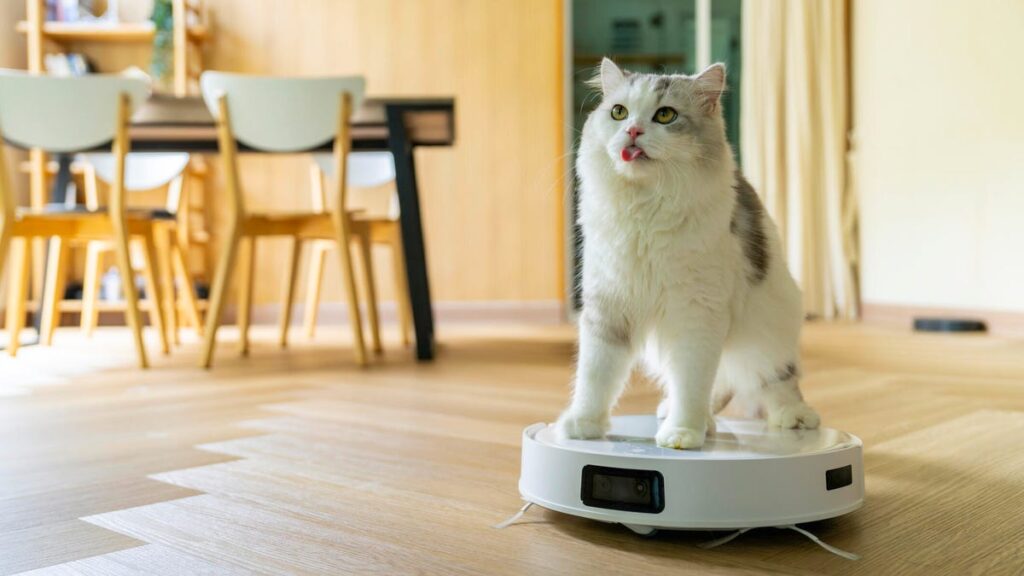 A cat on a robot vacuum in a dining room.