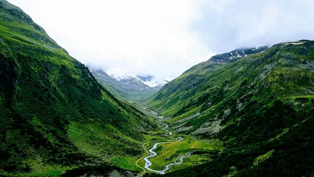 Escaping the Valley of Choice in BI
