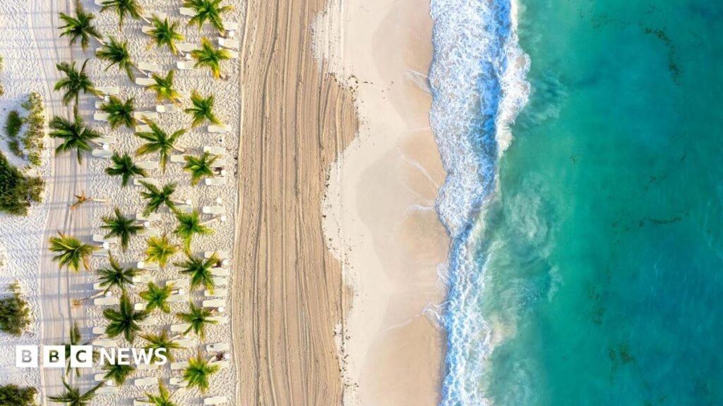 UK warned about ‘explosive diarrhoea’ cyclospora infection A beach in Cancun. The picture shows white sand, palm trees and an aqua sea with waves breaking on the shore