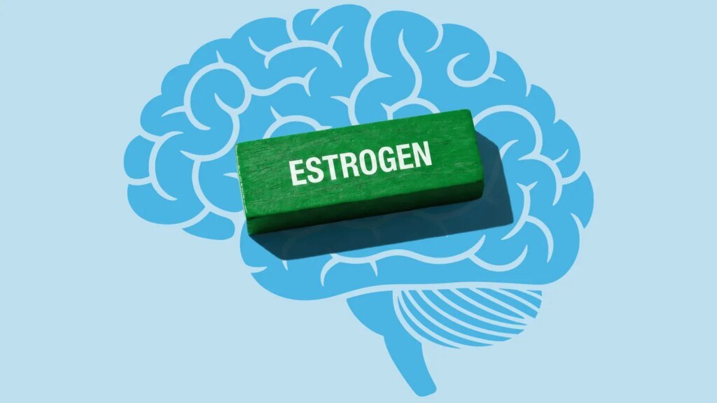 Can Estrogen Therapy Cut Alzheimer’s Risk? New Study Hints at Potential Link Could Estrogen Therapy Help Protect the Brain Against Alzheimer’s?
