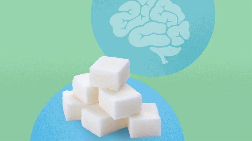 Limiting Sugar Early in Life May Have Lasting Brain Benefits