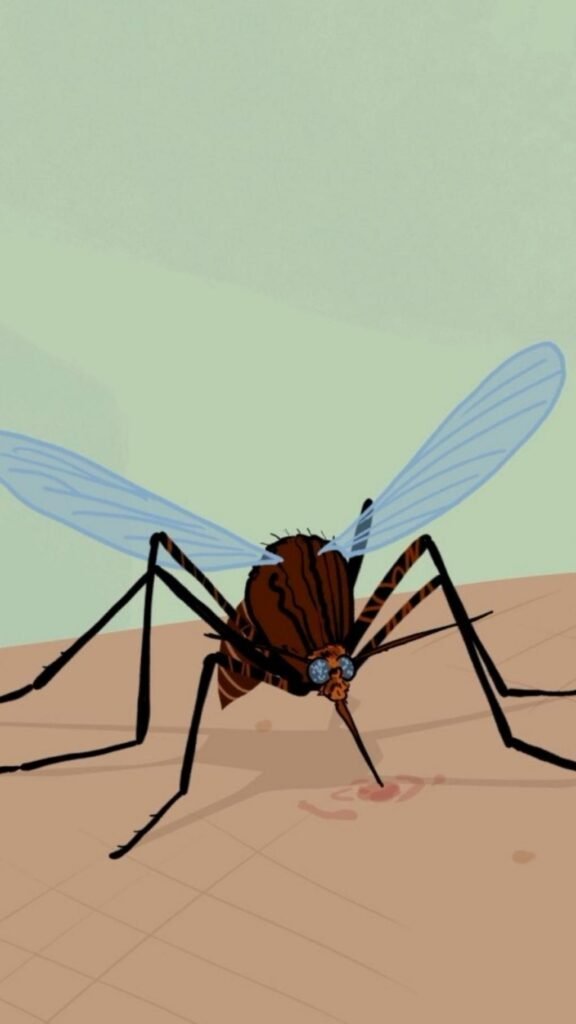 Fighting the world's most deadly animal… in an unexpected way Fighting the world's most deadly animal… in an unexpected way